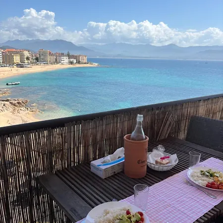 Balcon Sur La Climatise Deux Plages Commerces Et Parking Gratuit Au Pied De L Immeuble Διαμέρισμα Αζάτσιο
