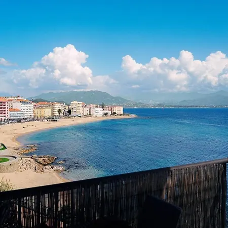 Balcon Sur La Climatise Deux Plages Commerces Et Parking Gratuit Au Pied De L Immeuble * Аяччо