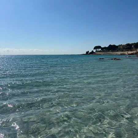 Διαμέρισμα Balcon Sur La Climatise Deux Plages Commerces Et Parking Gratuit Au Pied De L Immeuble Αζάτσιο